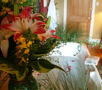 Amethyst Bed & Breakfast