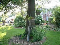 Bed & Breakfast Amethyst Adamstown